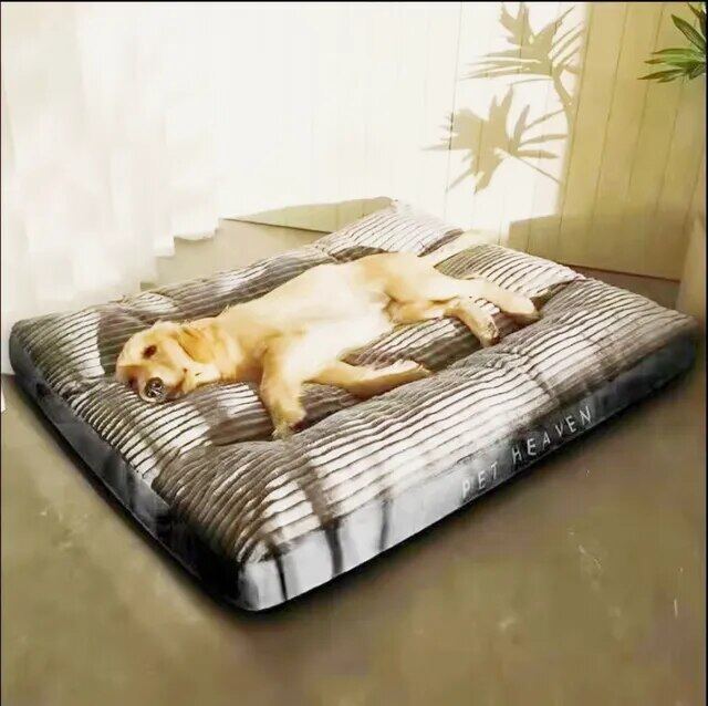 Champagne Puppy Extra Large Dog Bed