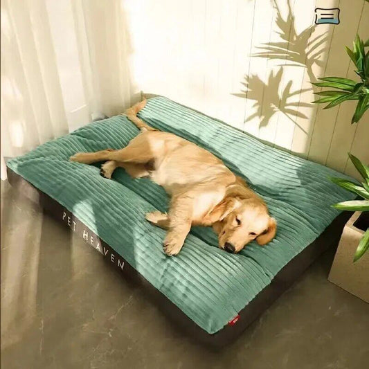 Champagne Puppy Extra Large Dog Bed